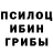 Галлюциногенные грибы Magic Shrooms SaltyFrog's Inn