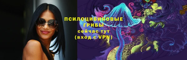ГАЛЛЮЦИНОГЕННЫЕ ГРИБЫ Майский