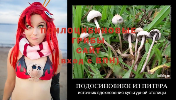 ГАЛЛЮЦИНОГЕННЫЕ ГРИБЫ Майский