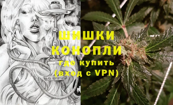 ГАЛЛЮЦИНОГЕННЫЕ ГРИБЫ Майский