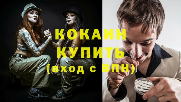 PSILOCYBIN Медвежьегорск