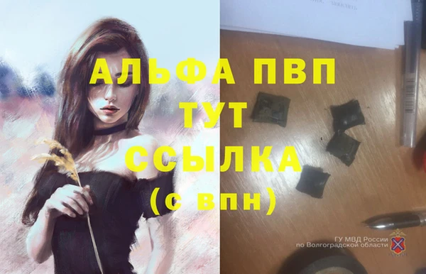 PSILOCYBIN Медвежьегорск