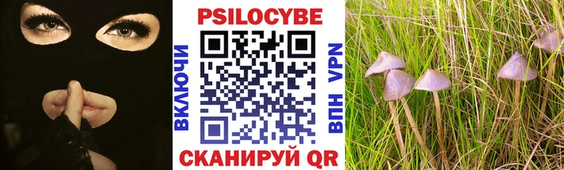 купить  сайты  Кондрово  Галлюциногенные грибы ЛСД 
